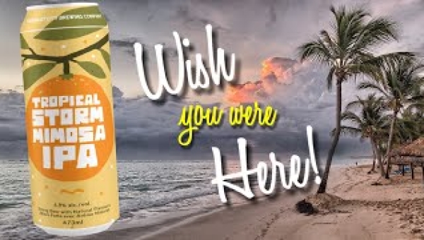 Exploring Sawdust City Brewing's Tropical Storm Mimosa IPA: A Flavorful Adventure with the Alconauts