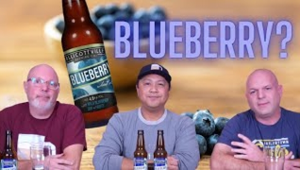 The Subtle Symphony of Blueberry Wheat Ale: A Journey with The Alconauts